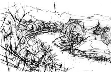 Blick vom Lingnerschloss 2021
Format 8,5 x 12 cm
Auflage 5