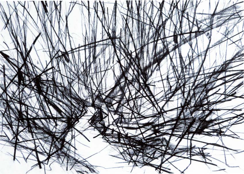 Friedrichsgrund I.
Kohle.
DIN A2. 2017