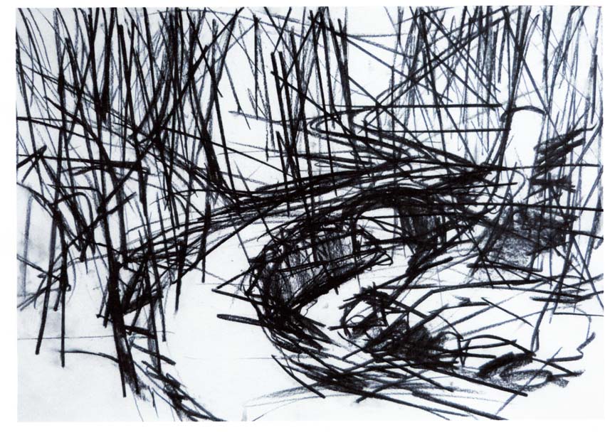 Friedrichsgrund III.
Kohle.
DIN A2. 2017