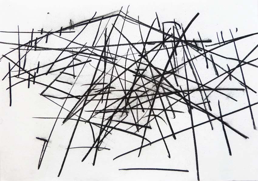 Wachwitzer Höhenpark II.
Kohle.
DIN A2. 2018