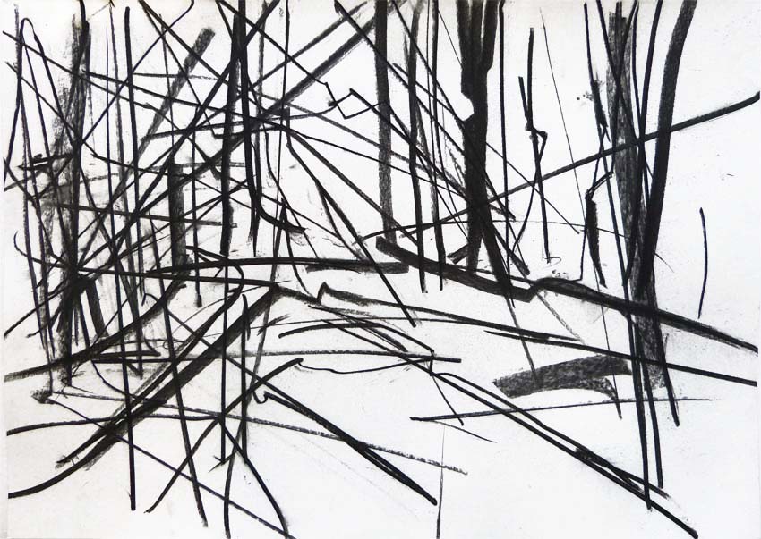 Wachwitzer Höhenpark II.
Kohle.
DIN A2. 2018