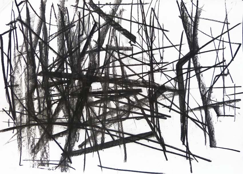 Wachwitzer Höhenpark III.
Kohle.
DIN A2. 2018